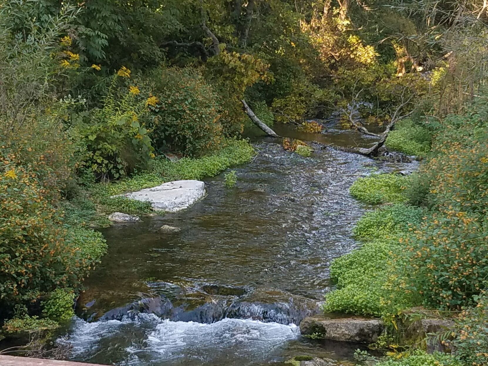 A babbling creek
